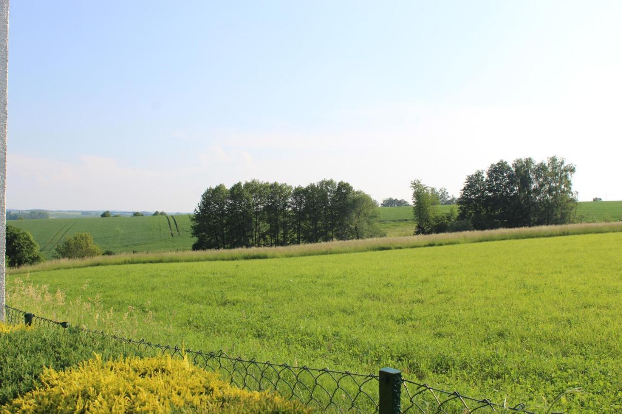 Ferienwohnung Am Kugelbaum Lunzenau Buitenkant foto